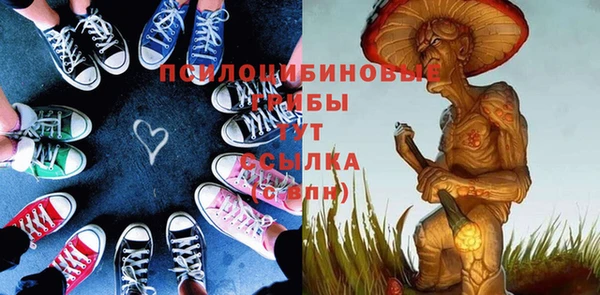 герыч Алексин