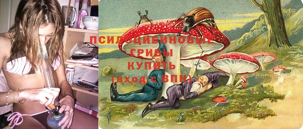 дживик Абаза