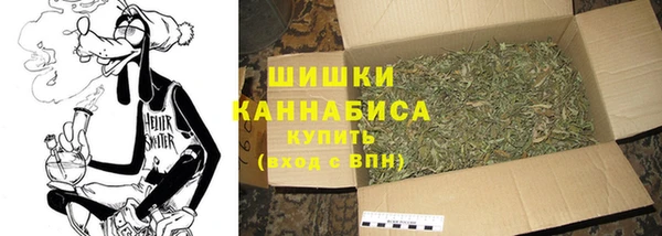 дживик Абаза