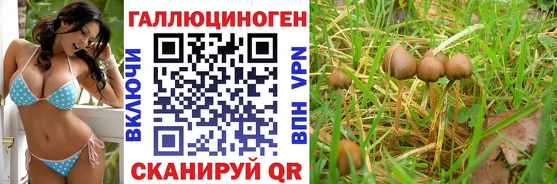Галлюциногенные грибы мицелий  магазин продажи наркотиков  блэк спрут как войти  Елизово 