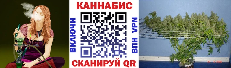 где купить наркотик Елизово Канабис конопля